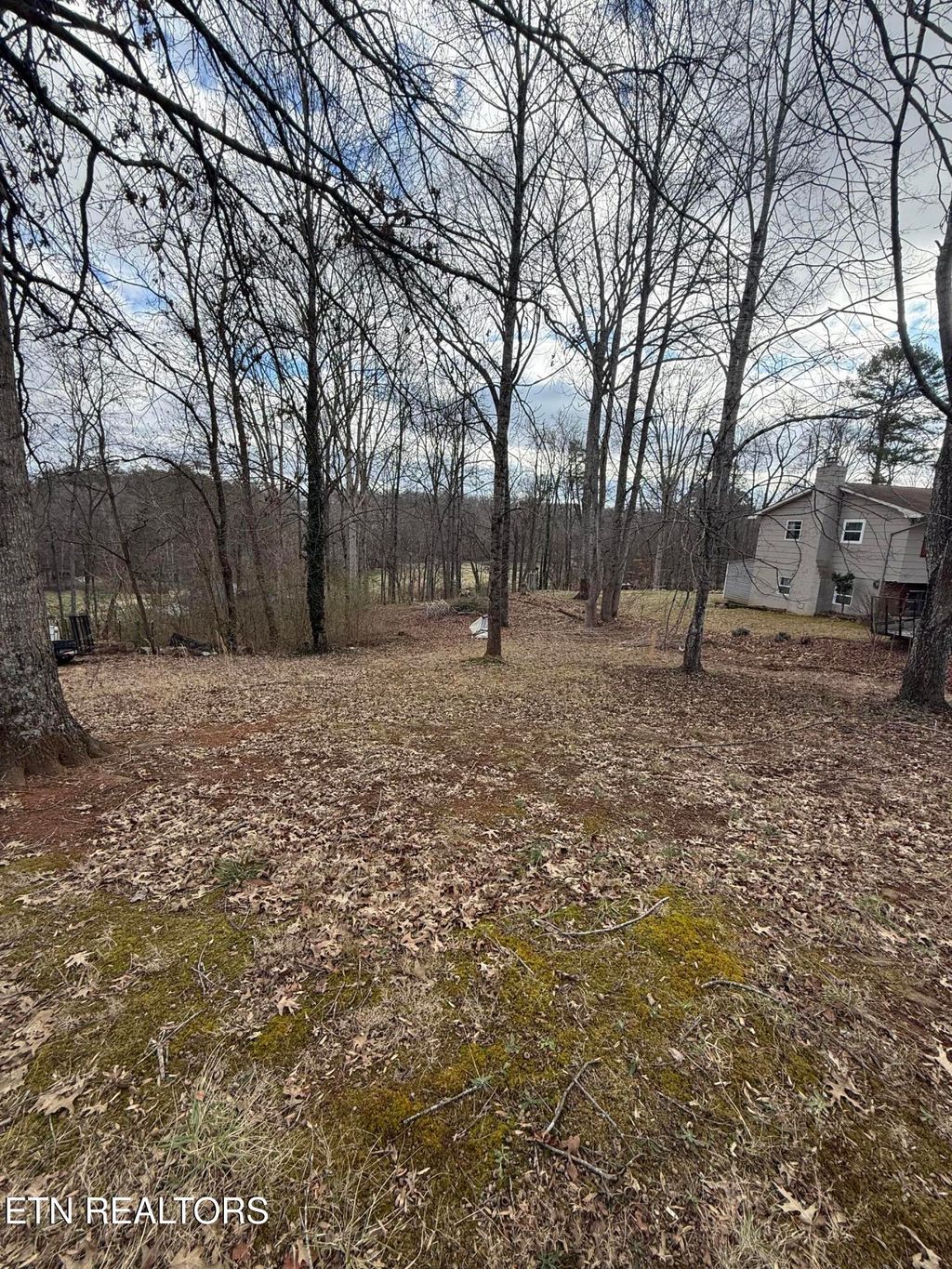 Photo of Melissa Lane, Maryville, TN 37801 (MLS # 1326595)