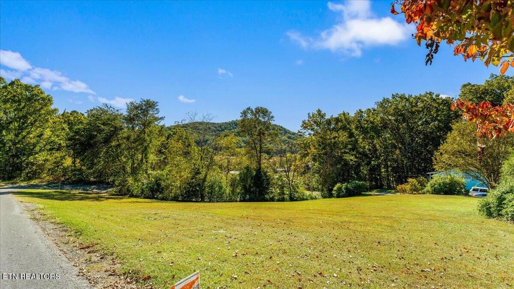 Photo of 9 Meadowlark Cove Rd, Sevierville, TN 37876 (MLS # 1319278)