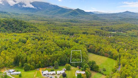 Tiny photo for Mountain Laurel Way, Cosby, TN 37722 (MLS # 1317414)