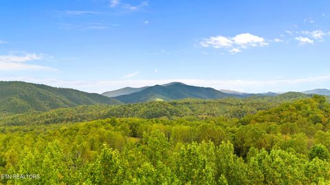 Tiny photo for Mountain Laurel Way, Cosby, TN 37722 (MLS # 1317414)