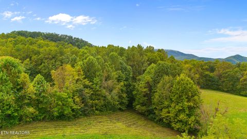 Tiny photo for Mountain Laurel Way, Cosby, TN 37722 (MLS # 1317414)