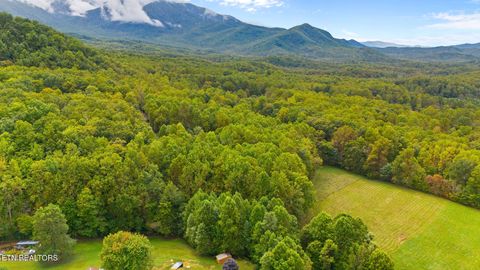 Photo of Mountain Laurel Way, Cosby, TN 37722 (MLS # 1317414)