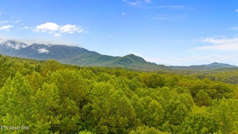 Tiny photo for Mountain Laurel Way, Cosby, TN 37722 (MLS # 1317414)