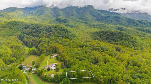Tiny photo for Mountain Laurel Way, Cosby, TN 37722 (MLS # 1317414)