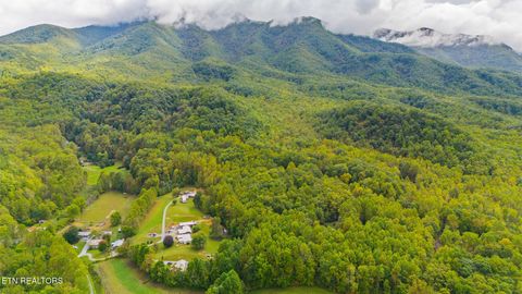 Tiny photo for Mountain Laurel Way, Cosby, TN 37722 (MLS # 1317414)