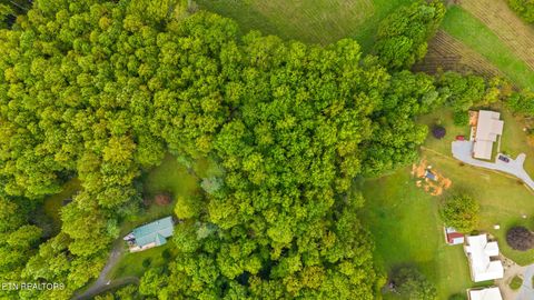 Tiny photo for Mountain Laurel Way, Cosby, TN 37722 (MLS # 1317414)