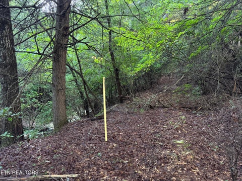 Tiny photo for Davis Rd, Deer Lodge, TN 37726 (MLS # 1355541)
