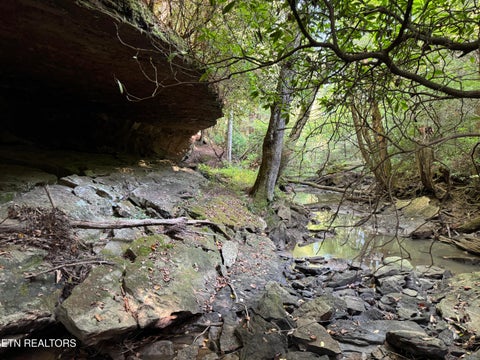 Tiny photo for Davis Rd, Deer Lodge, TN 37726 (MLS # 1355541)