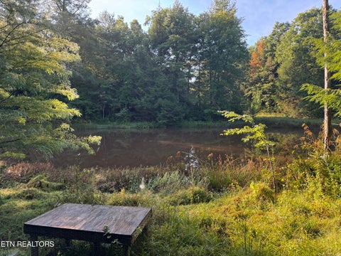 Tiny photo for Davis Rd, Deer Lodge, TN 37726 (MLS # 1355541)