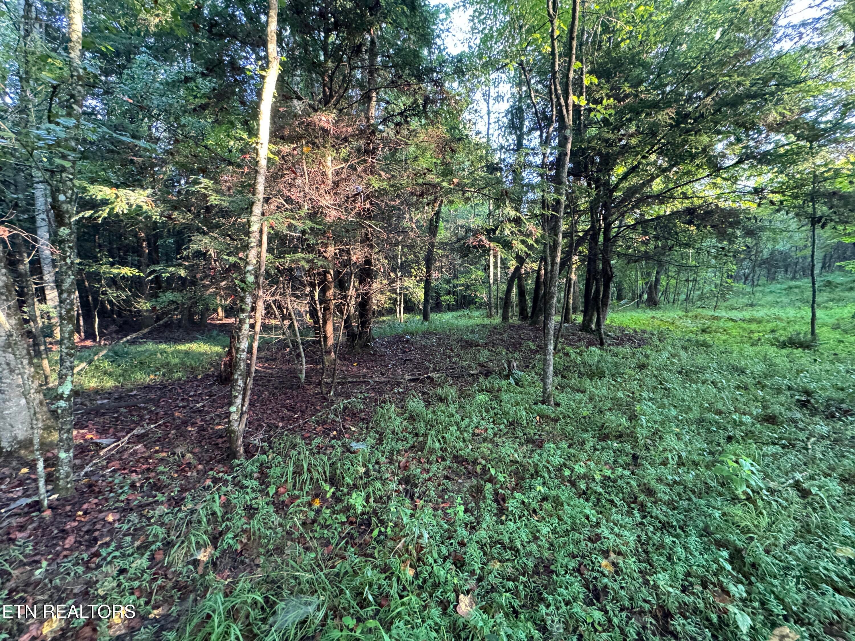 Davis Rd