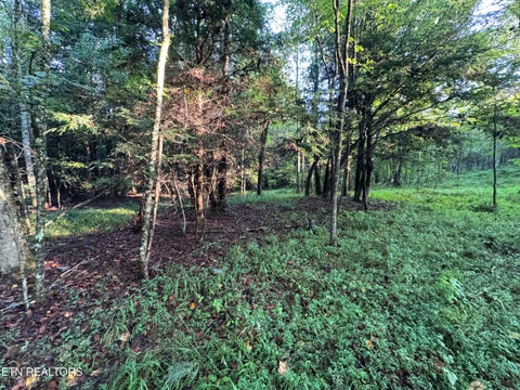 Tiny photo for Davis Rd, Deer Lodge, TN 37726 (MLS # 1355541)