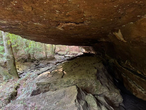 Tiny photo for Davis Rd, Deer Lodge, TN 37726 (MLS # 1355541)