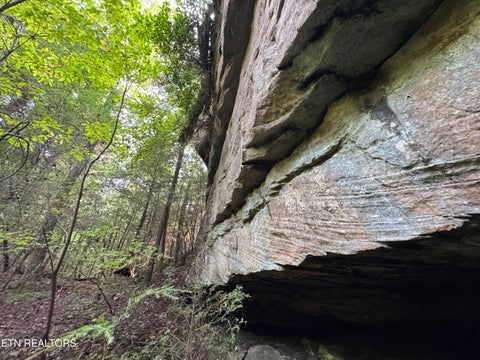 Tiny photo for Davis Rd, Deer Lodge, TN 37726 (MLS # 1355541)