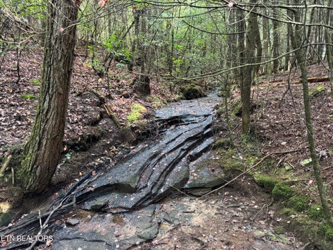 Tiny photo for Davis Rd, Deer Lodge, TN 37726 (MLS # 1355541)