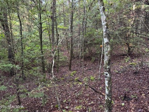 Tiny photo for Davis Rd, Deer Lodge, TN 37726 (MLS # 1355541)