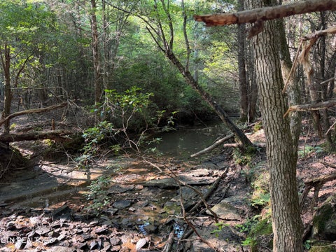 Tiny photo for Davis Rd, Deer Lodge, TN 37726 (MLS # 1355541)