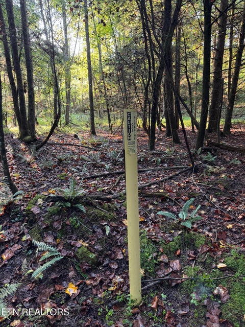 Tiny photo for Davis Rd, Deer Lodge, TN 37726 (MLS # 1355541)
