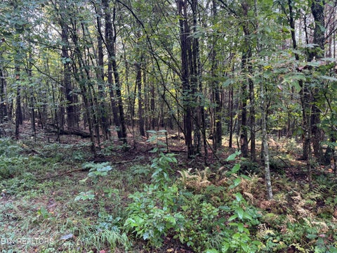 Tiny photo for Davis Rd, Deer Lodge, TN 37726 (MLS # 1355541)