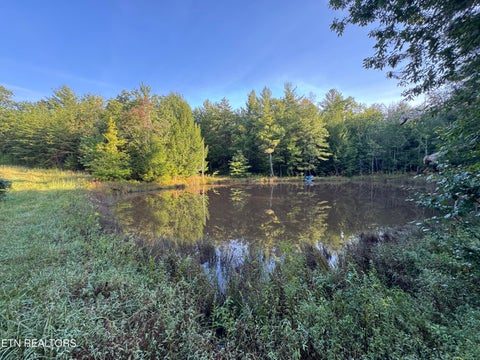 Tiny photo for Davis Rd, Deer Lodge, TN 37726 (MLS # 1355541)