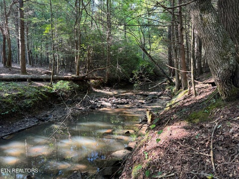 Tiny photo for Davis Rd, Deer Lodge, TN 37726 (MLS # 1355541)