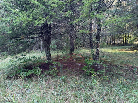 Tiny photo for Davis Rd, Deer Lodge, TN 37726 (MLS # 1355541)