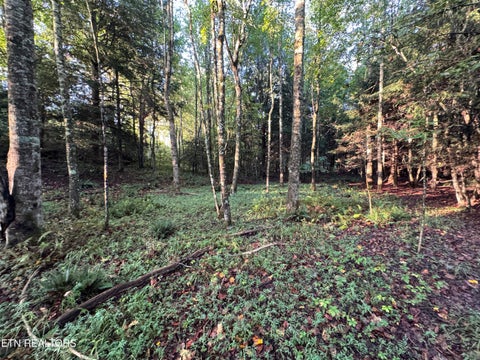 Tiny photo for Davis Rd, Deer Lodge, TN 37726 (MLS # 1355541)