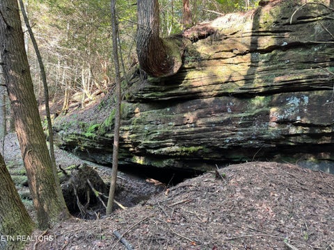 Tiny photo for Davis Rd, Deer Lodge, TN 37726 (MLS # 1355541)