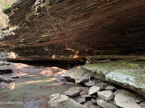 Tiny photo for Davis Rd, Deer Lodge, TN 37726 (MLS # 1355541)