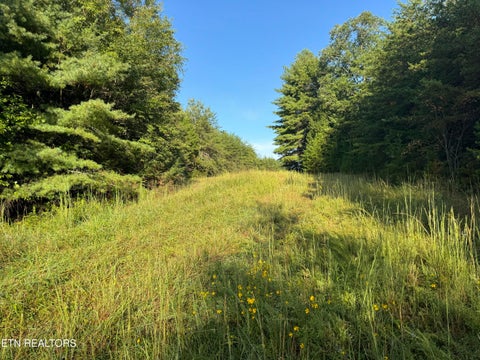 Tiny photo for Davis Rd, Deer Lodge, TN 37726 (MLS # 1355541)