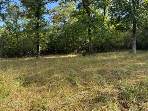 Tiny photo for Davis Rd, Deer Lodge, TN 37726 (MLS # 1355541)