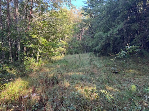 Tiny photo for Davis Rd, Deer Lodge, TN 37726 (MLS # 1355541)