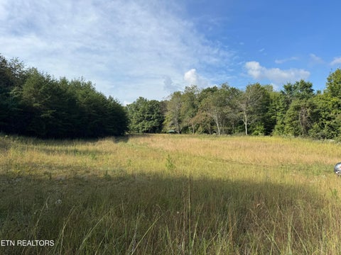 Photo of Davis Rd, Deer Lodge, TN 37726 (MLS # 1355541)