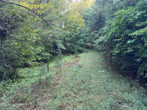 Tiny photo for Davis Rd, Deer Lodge, TN 37726 (MLS # 1355541)