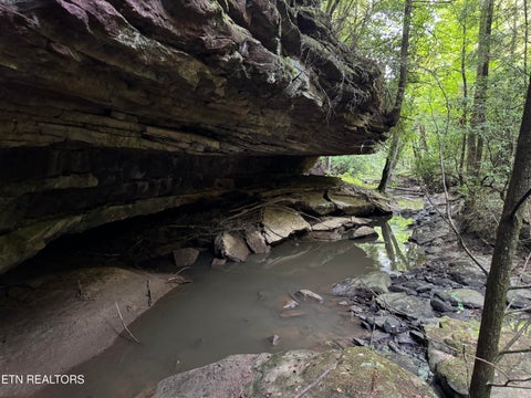 Tiny photo for Davis Rd, Deer Lodge, TN 37726 (MLS # 1355541)