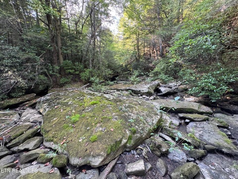 Tiny photo for Davis Rd, Deer Lodge, TN 37726 (MLS # 1355541)
