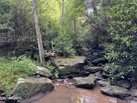 Tiny photo for Davis Rd, Deer Lodge, TN 37726 (MLS # 1355541)