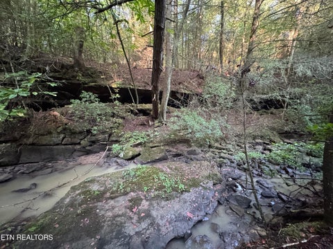 Tiny photo for Davis Rd, Deer Lodge, TN 37726 (MLS # 1355541)