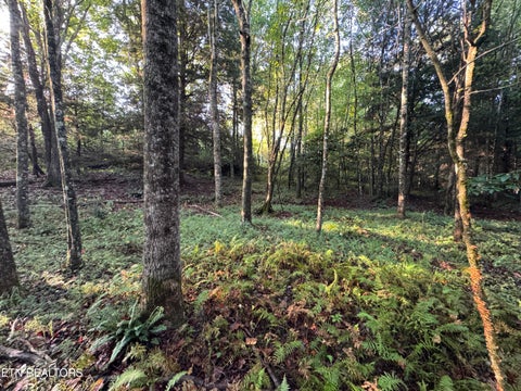 Tiny photo for Davis Rd, Deer Lodge, TN 37726 (MLS # 1355541)