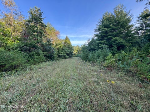 Tiny photo for Davis Rd, Deer Lodge, TN 37726 (MLS # 1355541)