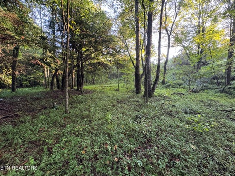 Tiny photo for Davis Rd, Deer Lodge, TN 37726 (MLS # 1355541)