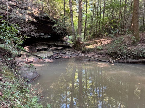 Tiny photo for Davis Rd, Deer Lodge, TN 37726 (MLS # 1355541)