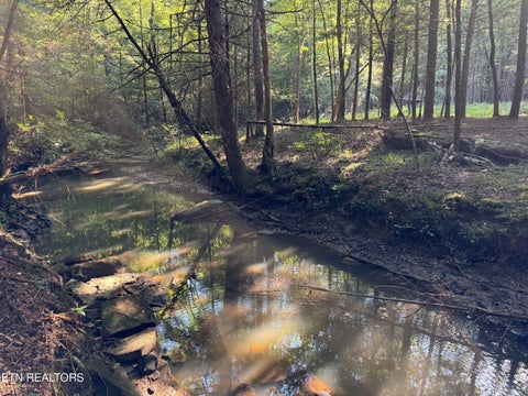 Tiny photo for Davis Rd, Deer Lodge, TN 37726 (MLS # 1355541)