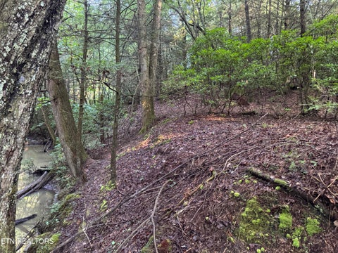 Tiny photo for Davis Rd, Deer Lodge, TN 37726 (MLS # 1355541)