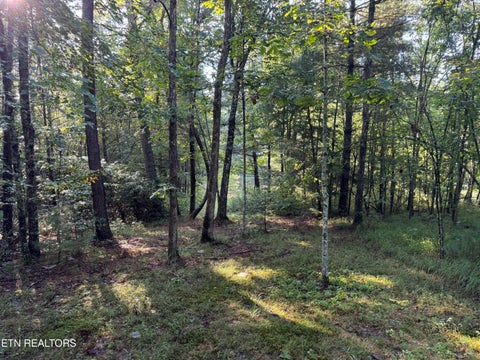Tiny photo for Davis Rd, Deer Lodge, TN 37726 (MLS # 1355541)