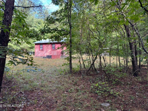 Tiny photo for Davis Rd, Deer Lodge, TN 37726 (MLS # 1355541)