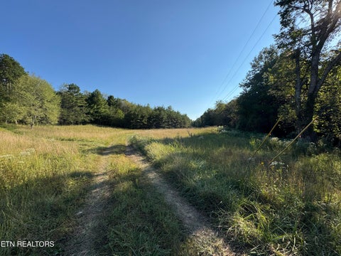 Tiny photo for Davis Rd, Deer Lodge, TN 37726 (MLS # 1355541)
