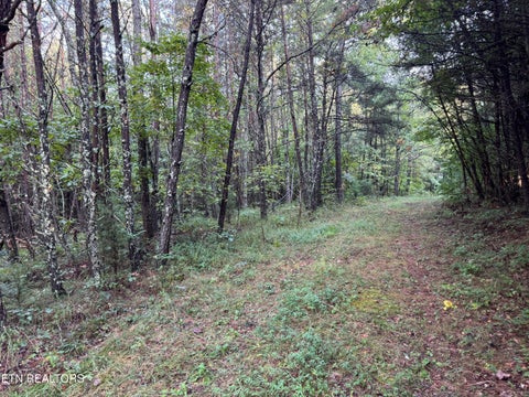 Tiny photo for Davis Rd, Deer Lodge, TN 37726 (MLS # 1355541)