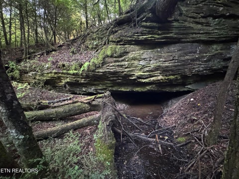 Tiny photo for Davis Rd, Deer Lodge, TN 37726 (MLS # 1355541)