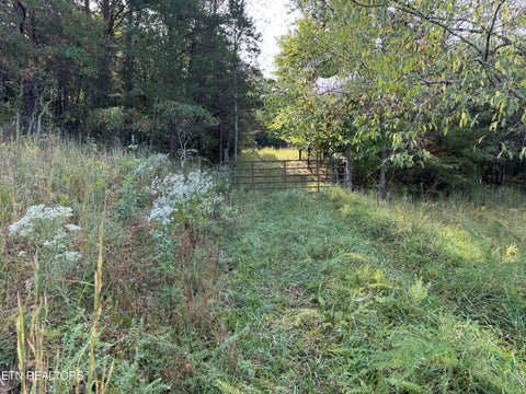 Tiny photo for Davis Rd, Deer Lodge, TN 37726 (MLS # 1355541)