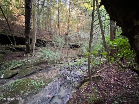 Tiny photo for Davis Rd, Deer Lodge, TN 37726 (MLS # 1355541)